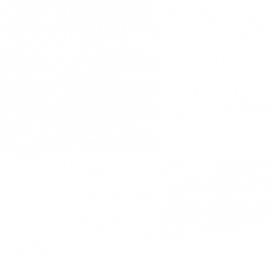 shapes shapes